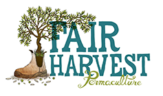 Fair Harvest Weddings Margaret River
