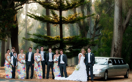LuxuryLimousines_coleman_mrbg2