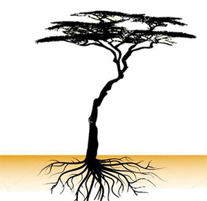 timbergrooves_mrbg2